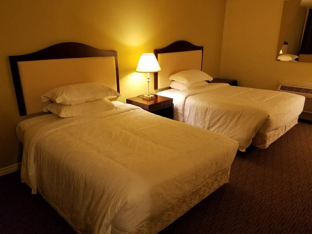 7 West Motel Carleton Place Номер фото